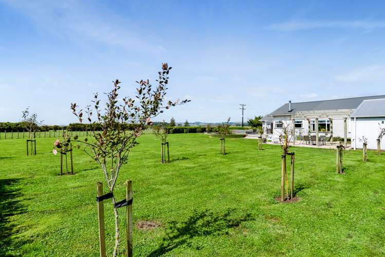 2 Snell Road Tikorangi_23