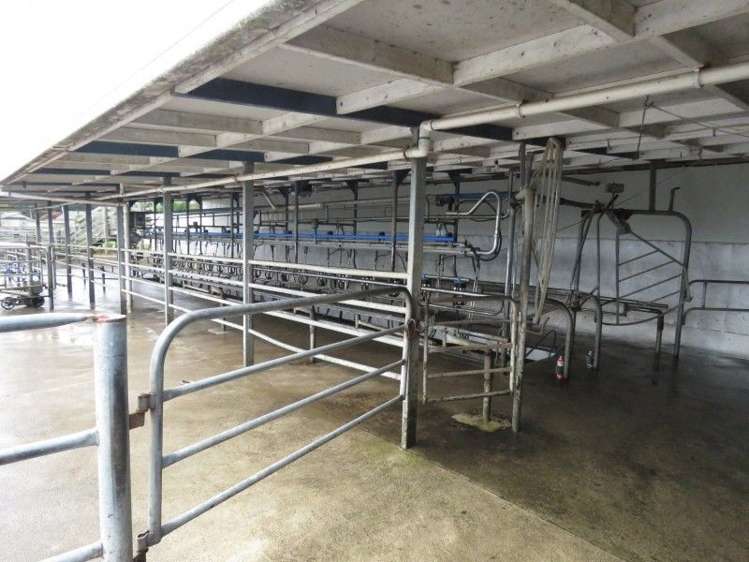 80 Avery Road Pahiatua_9