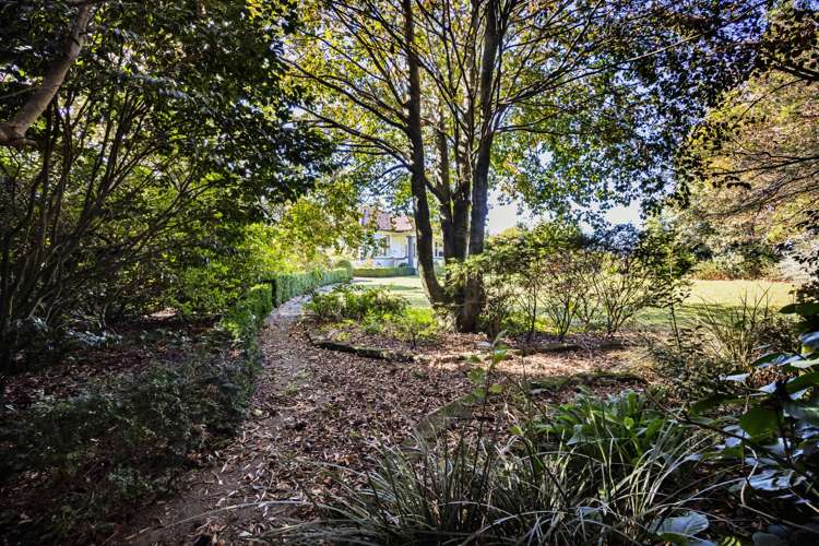 1170 A South Road Manaia_42