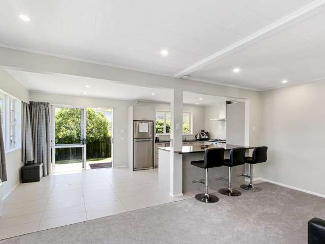 32 Timaru Grove Kelson_1