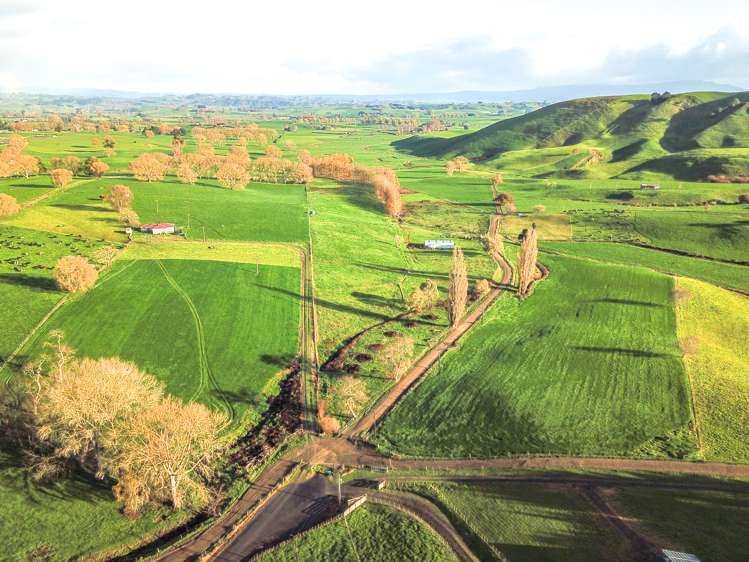 93 Blackett Road Otorohanga_8