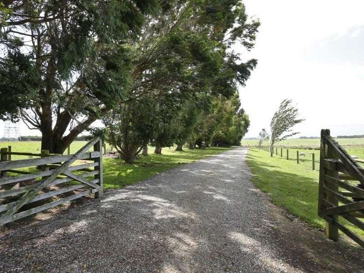 684 Lorne Dacre Road Roslyn Bush_7