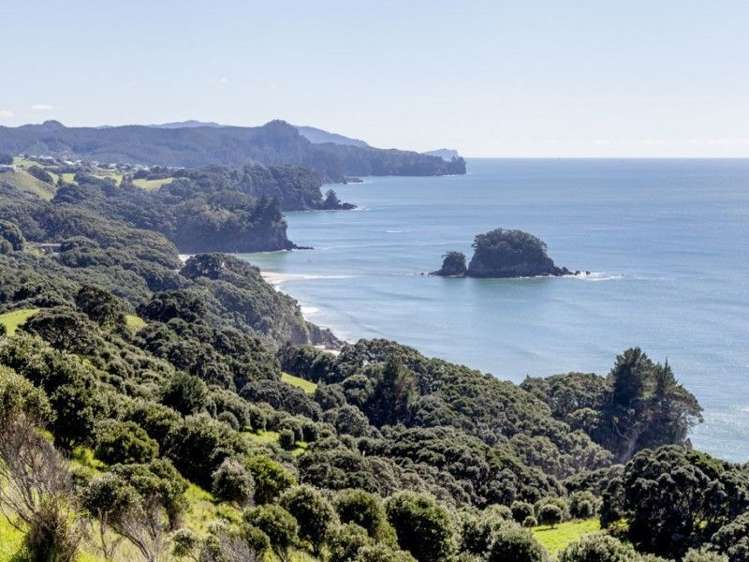 162g Whitipirorua Road Onemana_25