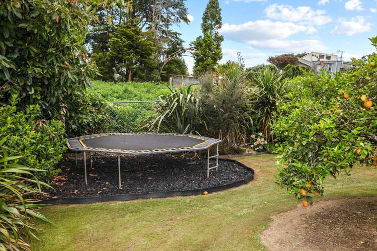 12 Ballance Street Kihikihi_19