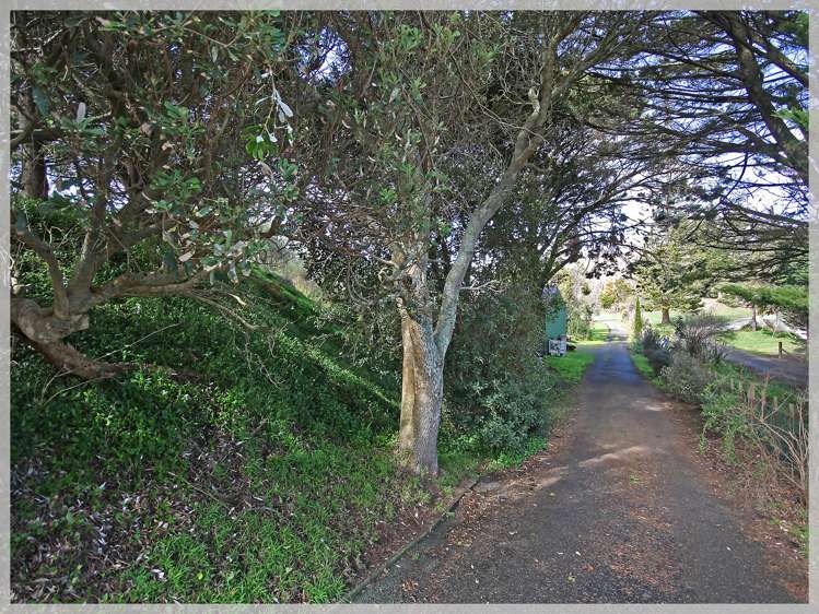 66 Palmer Road Foxton Beach_8