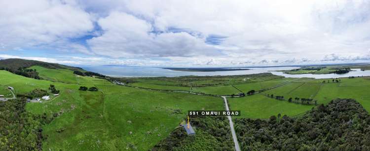 591 Omaui Road Omaui_60