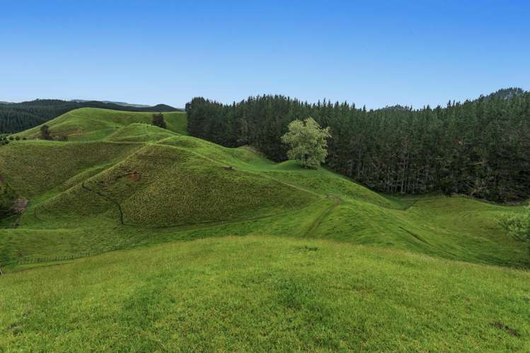 26 Settlement Road Pikowai_8