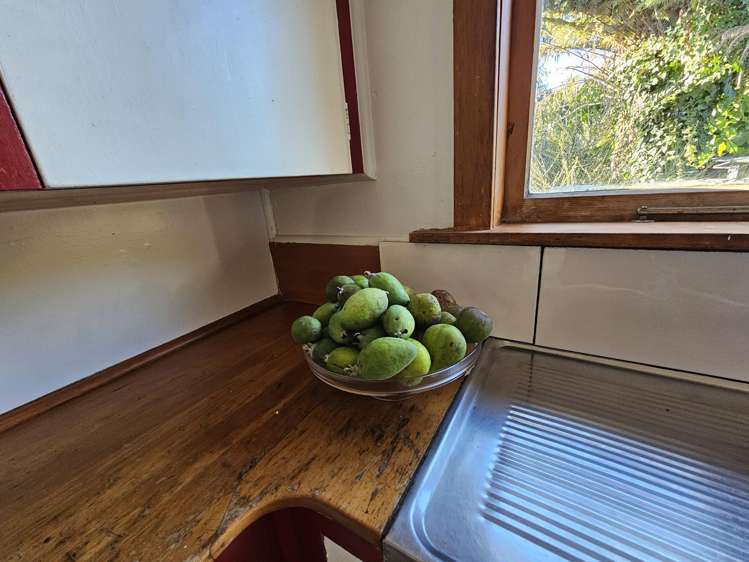 7 Dover Street Levin_18