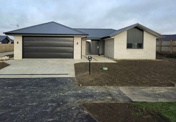 82 Nelson Street_0