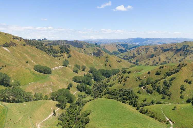 131 Rangitane Road Mangaweka_16