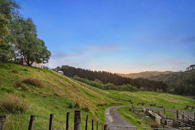 878 Waikaretu Valley Road Glen Murray_6