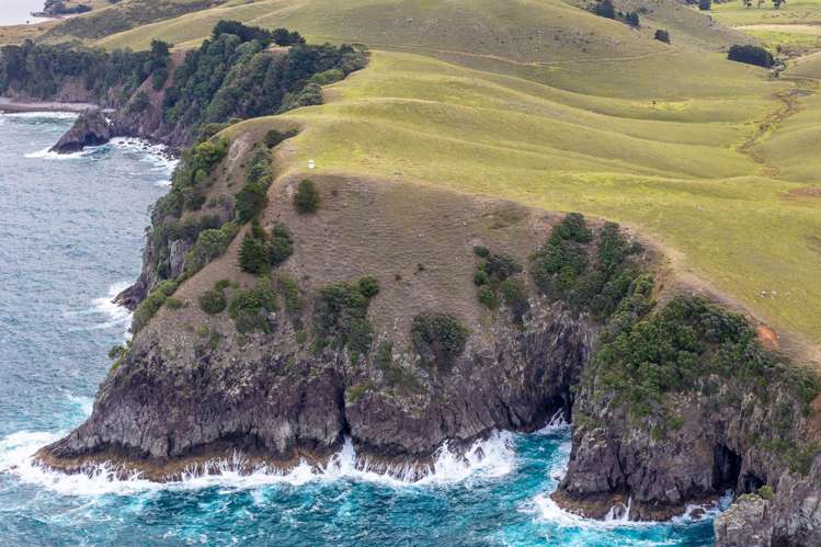 190 Pacific Ocean, Slipper Island (Whakahua) Thames_21