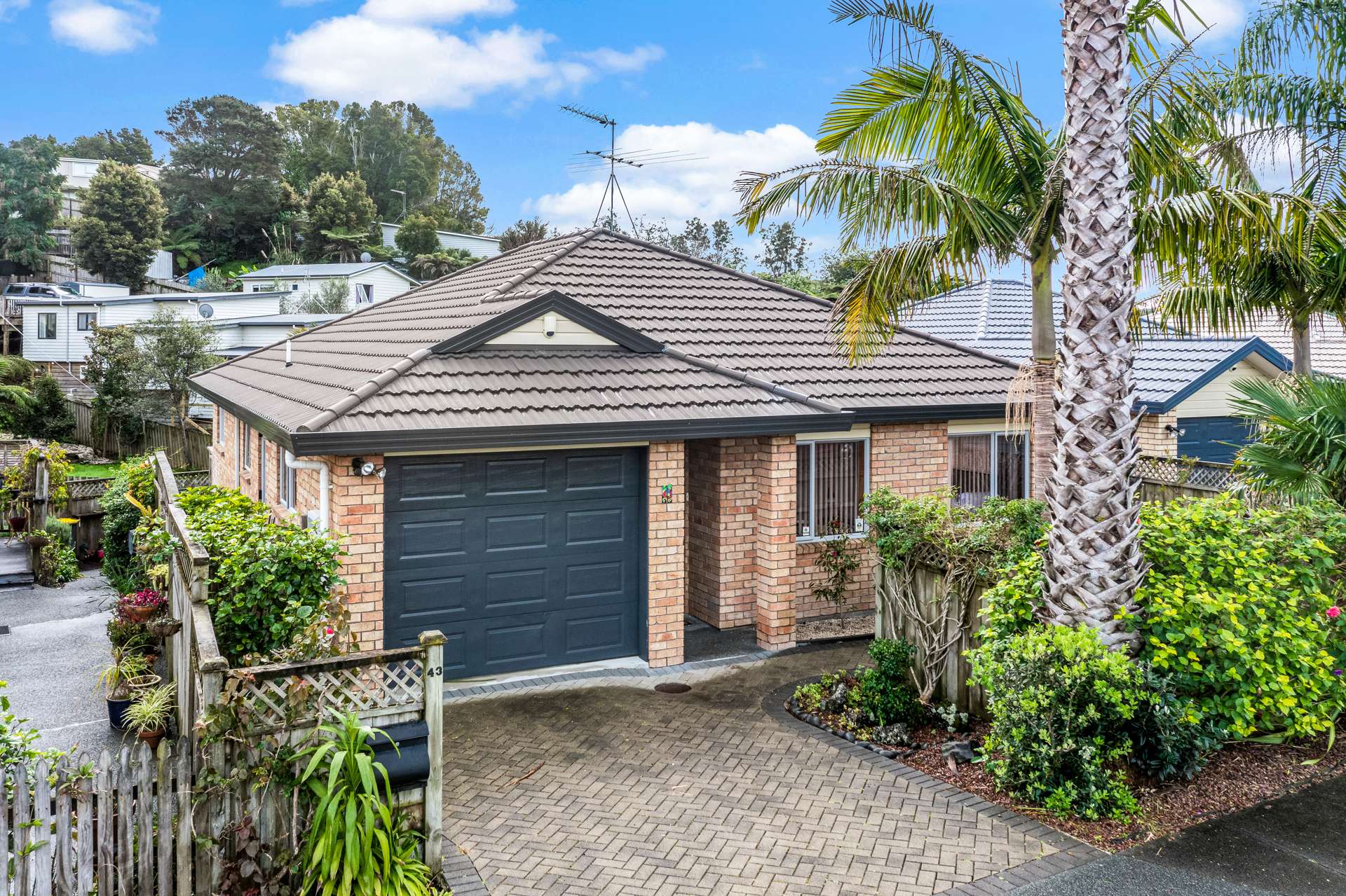 43 Red Hibiscus Road Stanmore Bay_0