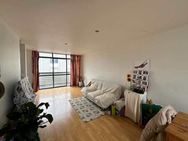 127L Queens Road Panmure_1