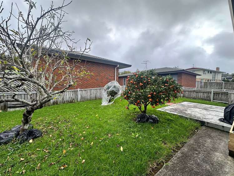 37A Brookfield Avenue Onehunga_8