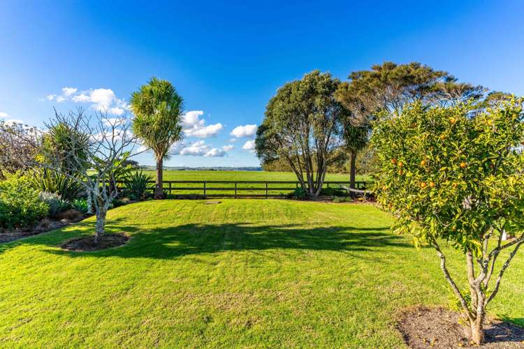 50 Jellicoe Street Ruawai_44
