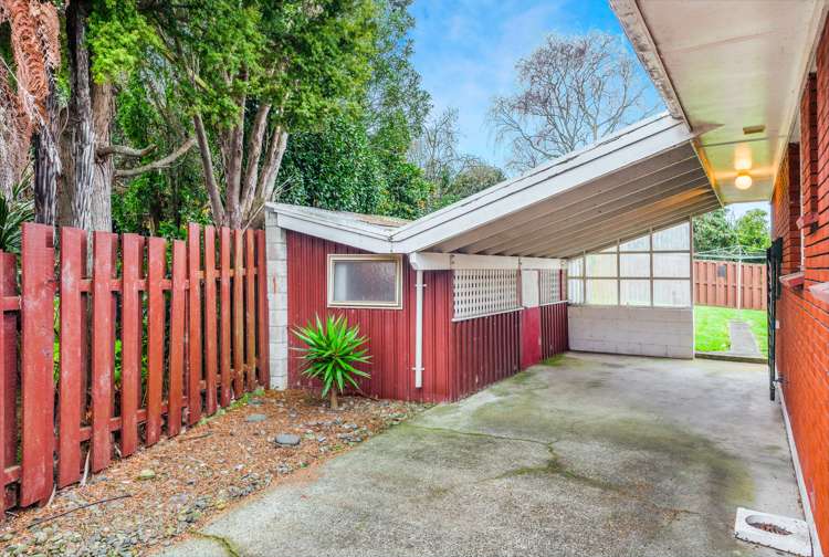 298 Tramway Road Chartwell_14