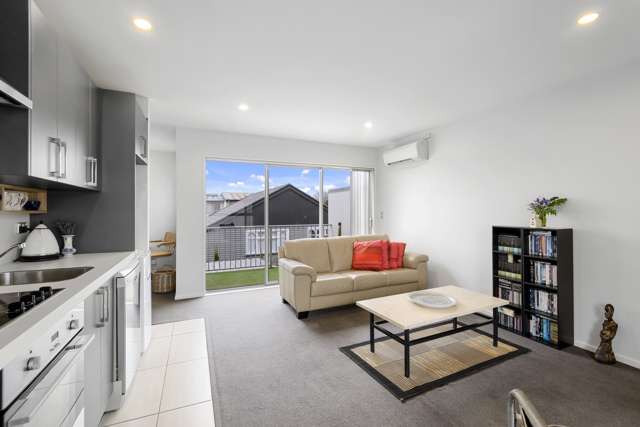 42c Devon Street Sydenham_3