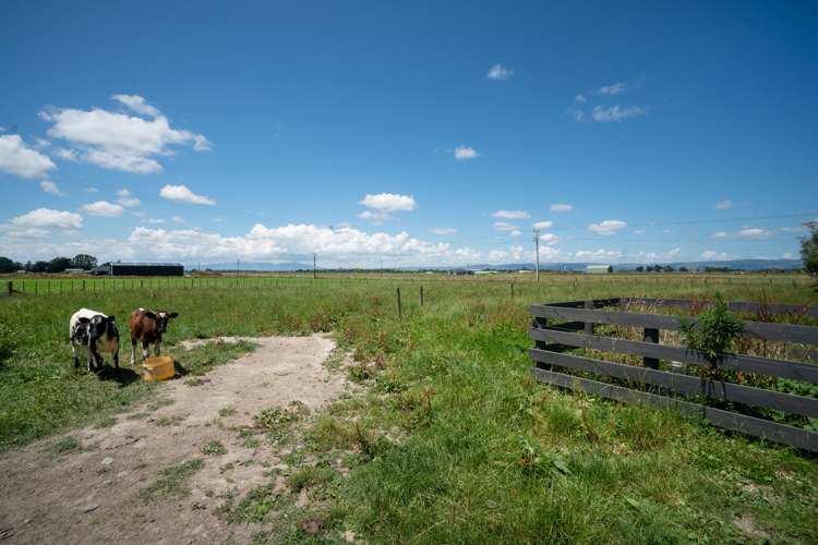 6 Mckenzie Settlement Road Kairanga_19