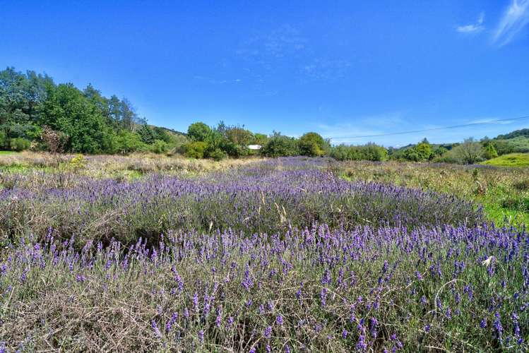 1453 Masterton Castlepoint Road Masterton_15
