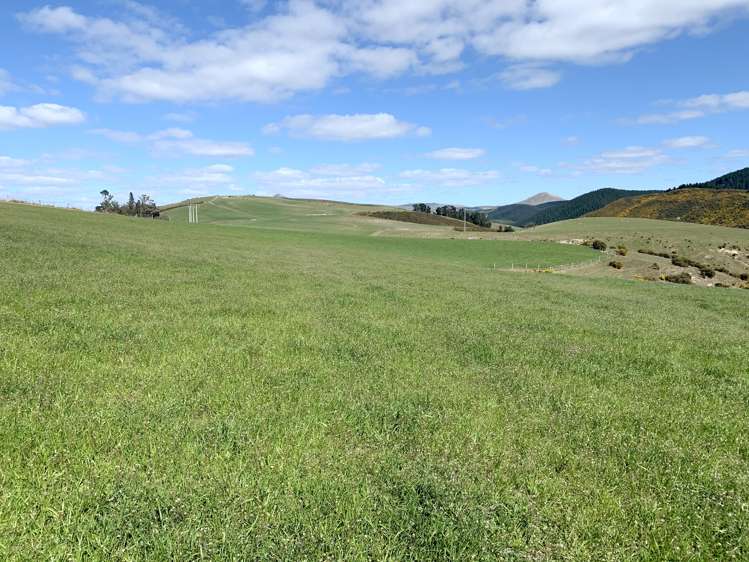 79 Patterson Road Flag Swamp_5