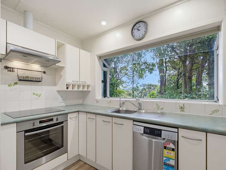 45 Tainui Road Titirangi_15