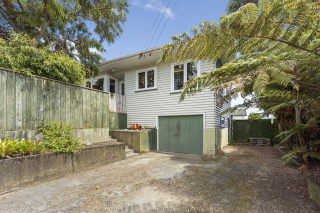 17 Argyle Avenue Levin_2