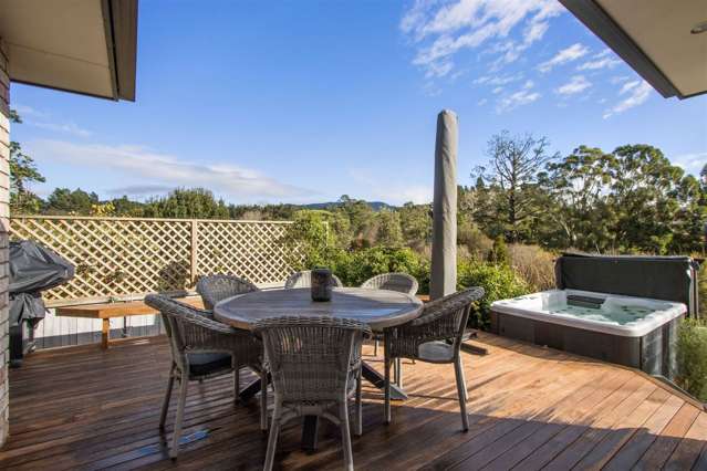 12 Lansdowne Road Katikati_1