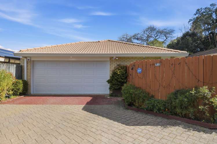 29D Riversdale Road Avondale_17
