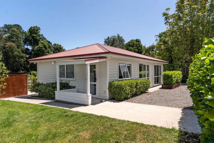 37 North Street Greytown_21