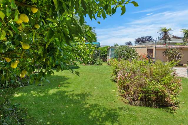 6 Sanders Avenue Morrinsville_2