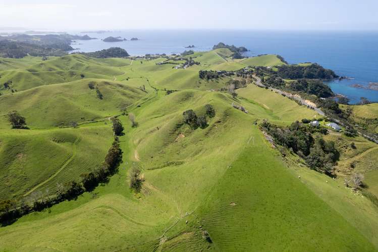 Lot 1 Rockell Road Whananaki_36