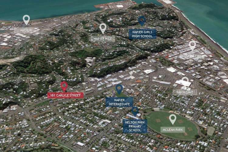 151 Carlyle Street Napier South_12