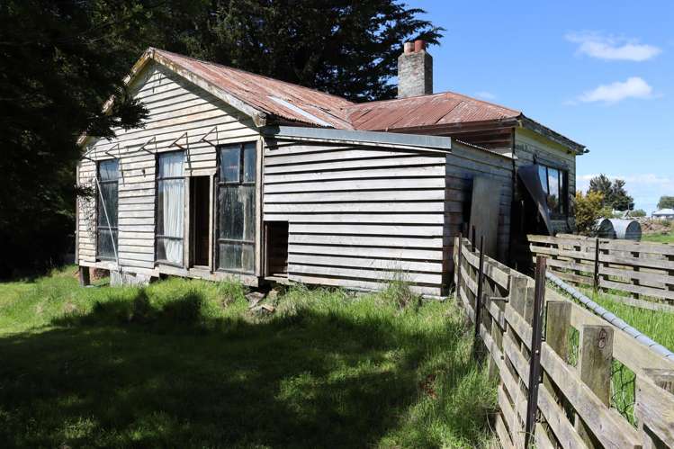 21 Benson Road Nightcaps_10