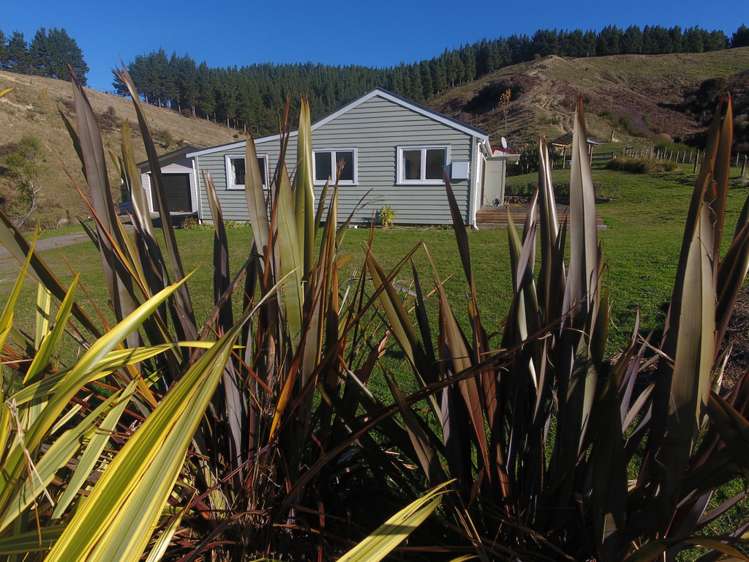 579 Jacksons Line Mauriceville_19