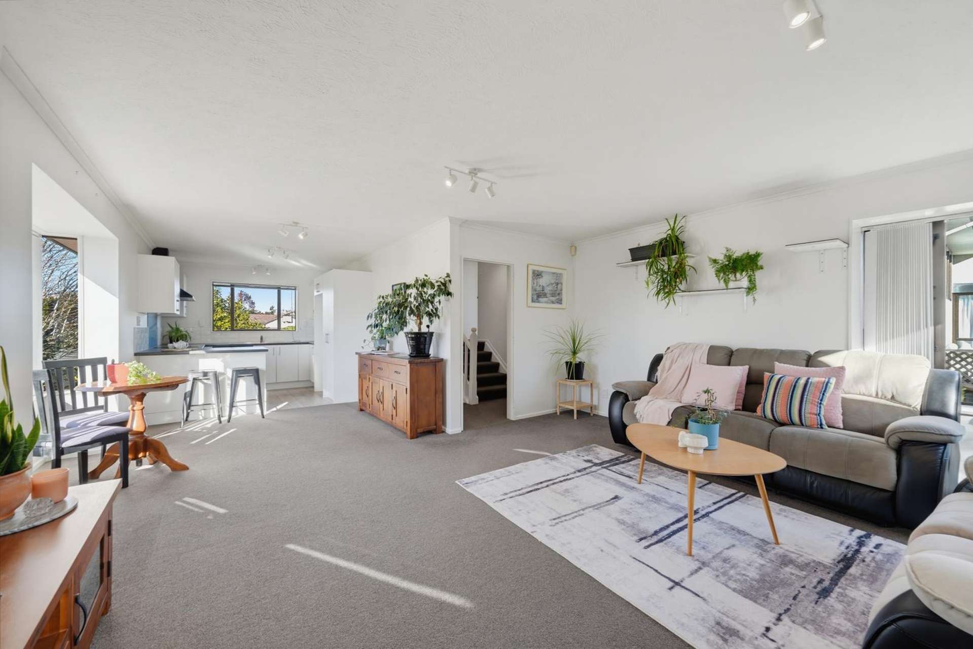 15 Lowry Avenue Redwood_0