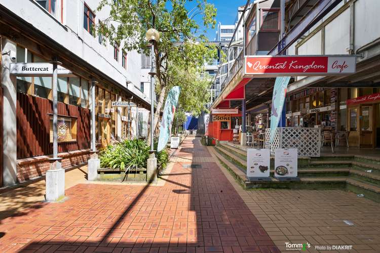 253/21 Left Bank Te Aro_14