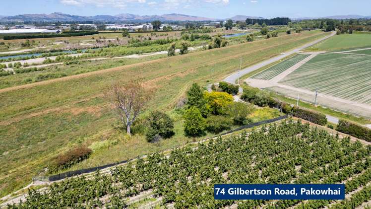 74 Gilbertson Road Pakowhai_3