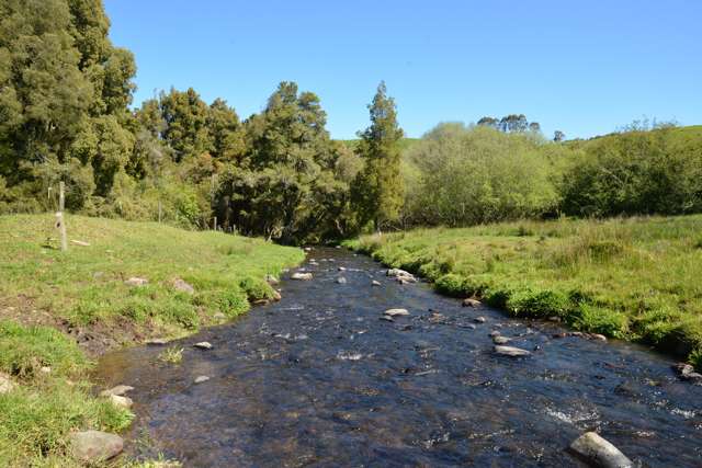 Maru Road Pukeatua_1