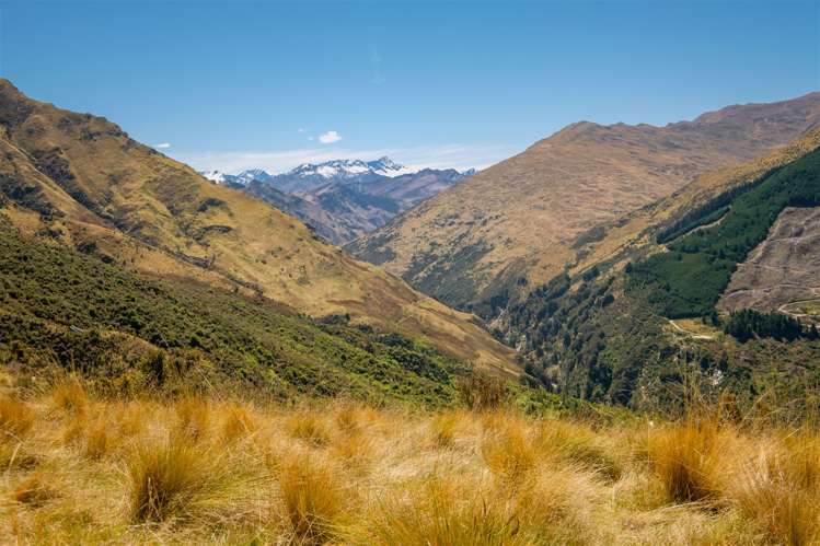 Moonlight Track Arthurs Point_0