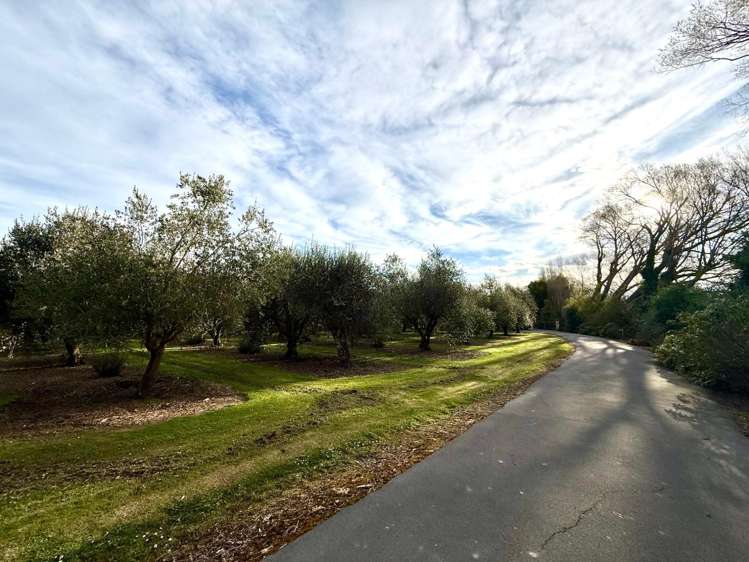 279 Wooldridge Rd Harewood_43