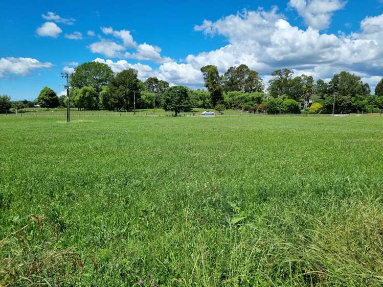 2/2 Hogg Road Onepu_6