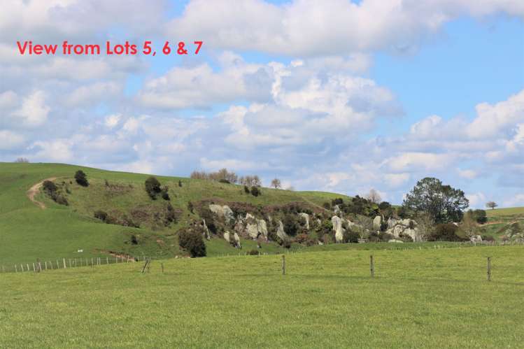 381 Lake Arapuni Road Arapuni_3