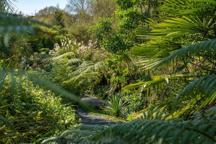 38 Blackberry Way Welcome Bay_11