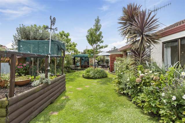 31b Hibiscus Avenue Mount Maunganui_1