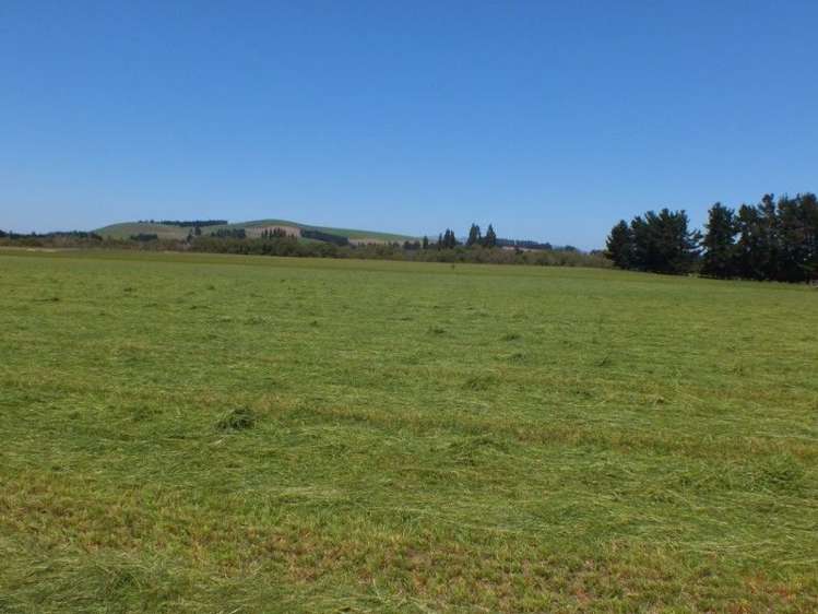 55 Costellos Road Hawarden_14