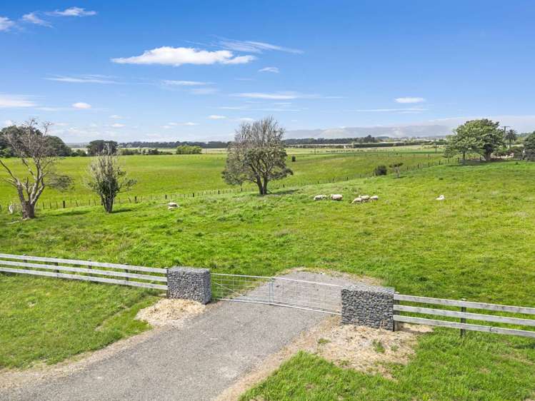 20 Whio Grove Hokio Beach_7