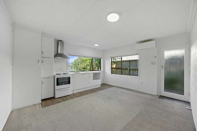 24A Dallas Place New Windsor_1