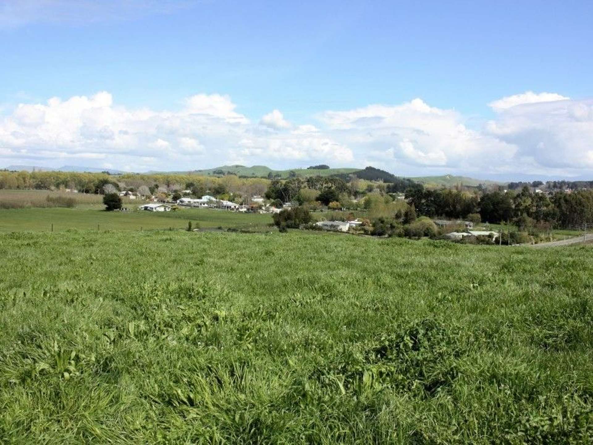 35 Pourerere Road Waipawa_0