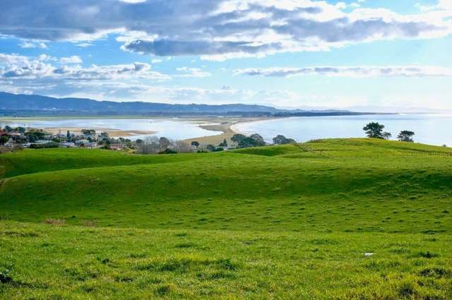 42 Arawa Avenue Maketu_3